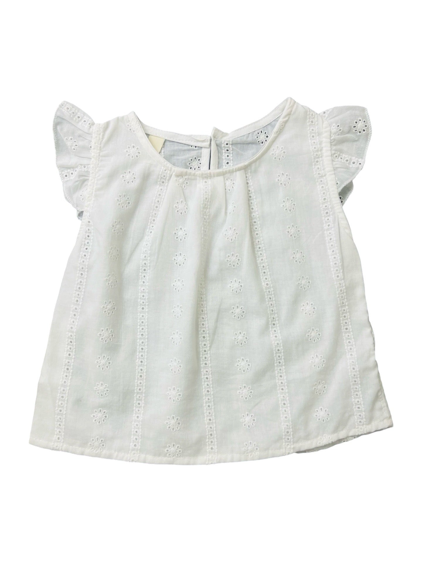 Baby Chickenkari suit set with Shorts - IMPORTED