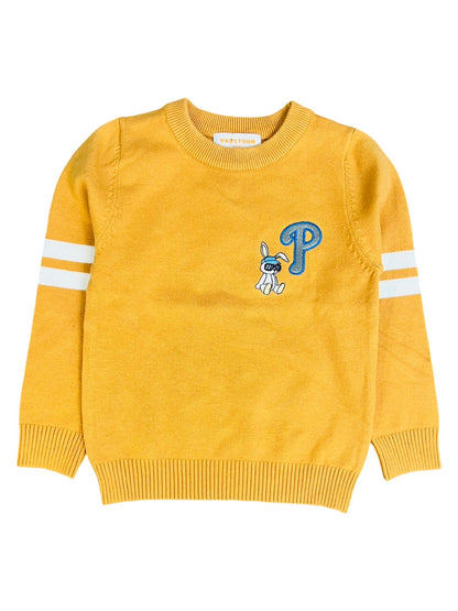 Baby Sweater- Character Theme - IMPORTED