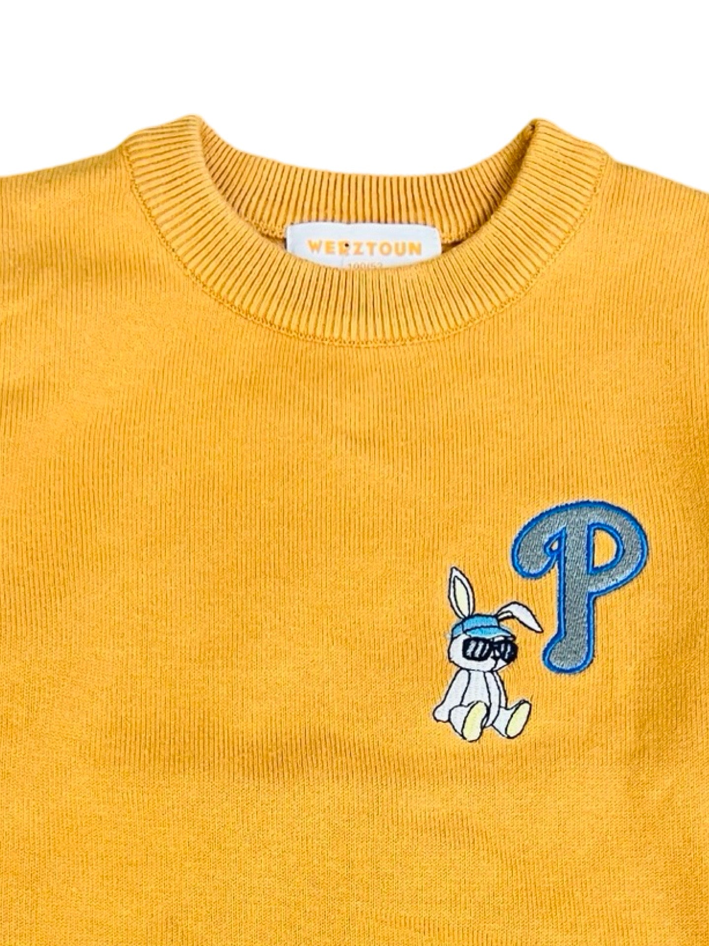 Baby Sweater- Character Theme - IMPORTED