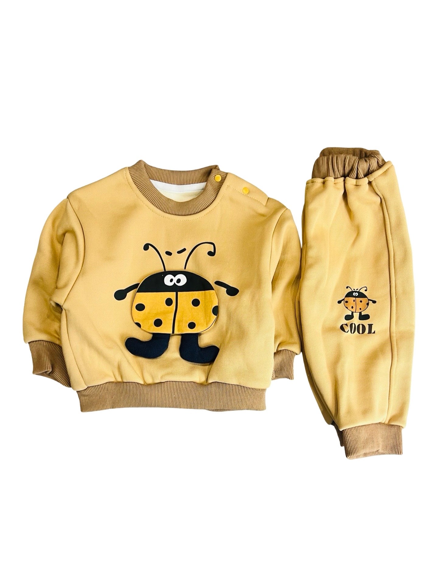 Baby Fleece LadyBug Suit Set- Imported