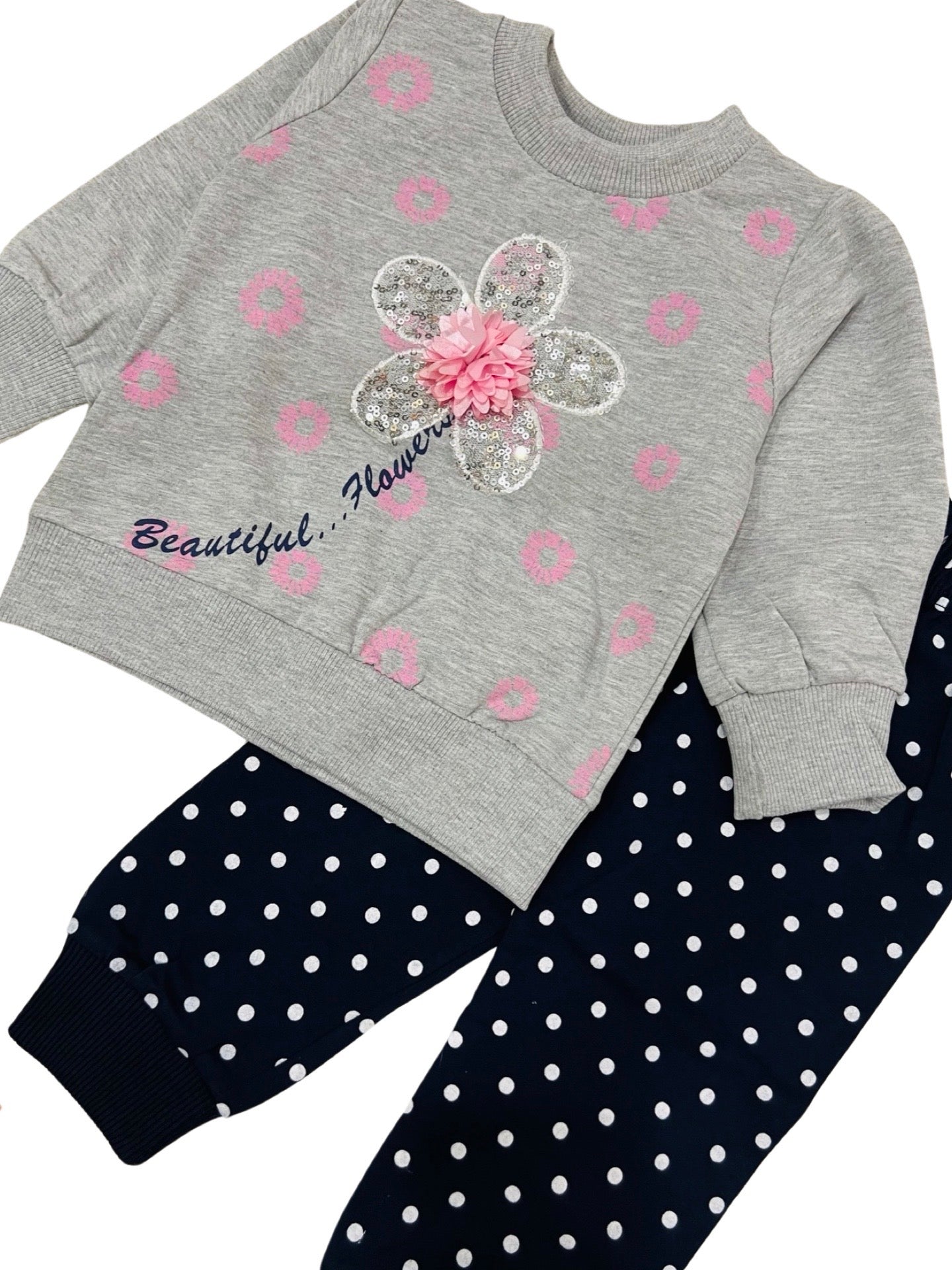 Baby Sweatshirt with Pant- 2 piece