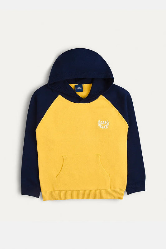 Baby Hooded Sweater- IMPORTED