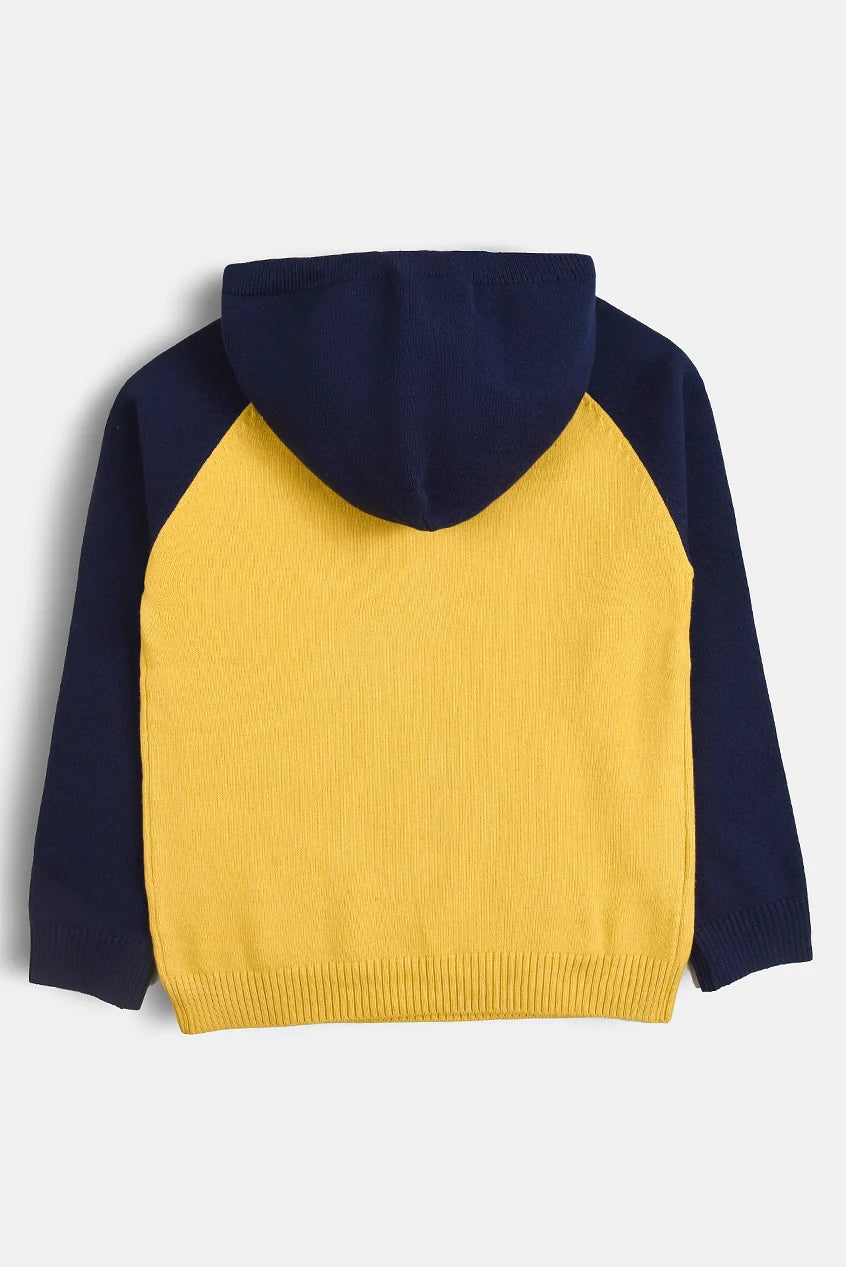 Baby Hooded Sweater- IMPORTED