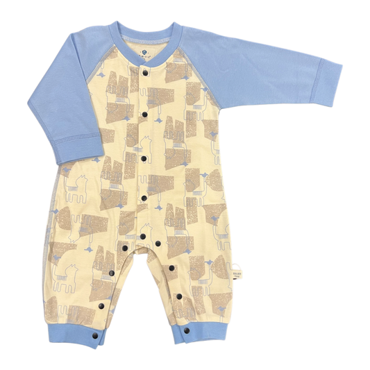 Baby Romper - Blue